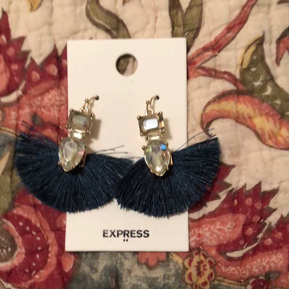 Fancy express earrings